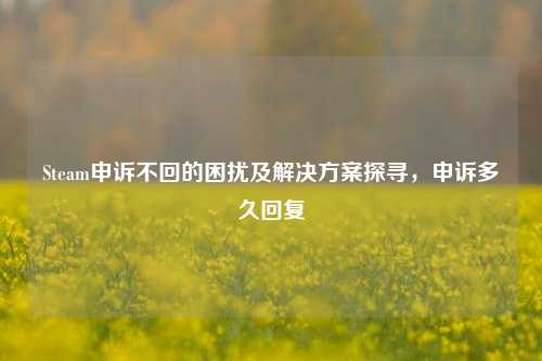 Steam申诉不回的困扰及解决方案探寻,申诉多久回复