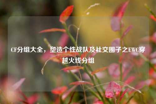 CF分组大全,塑造个性战队及社交圈子之EWC穿越火线分组