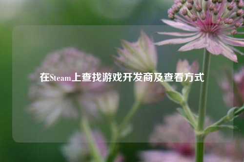 在Steam上查找游戏开发商及查看方式