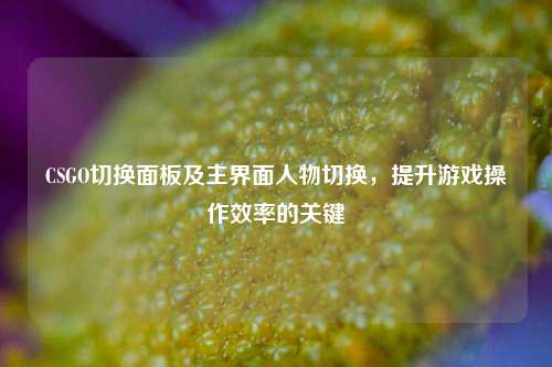 CSGO切换面板及主界面人物切换,提升游戏操作效率的关键