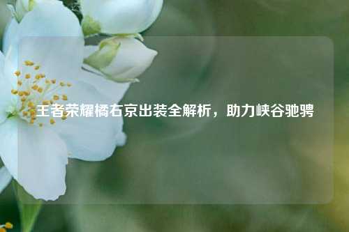 王者荣耀橘右京出装全解析,助力峡谷驰骋