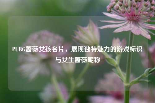 PUBG蔷薇女孩名片，展现独特魅力的游戏标识与女生蔷薇昵称