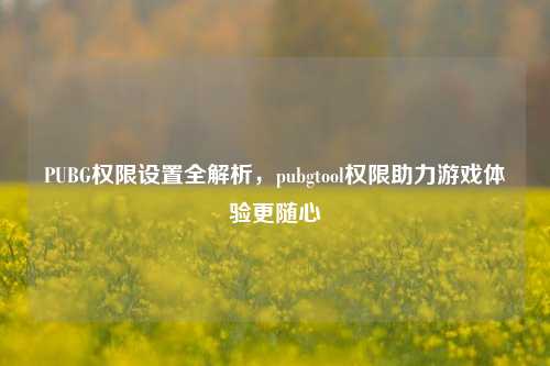 PUBG权限设置全解析,pubgtool权限助力游戏体验更随心