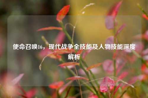 使命召唤16,现代战争全技能及人物技能深度解析