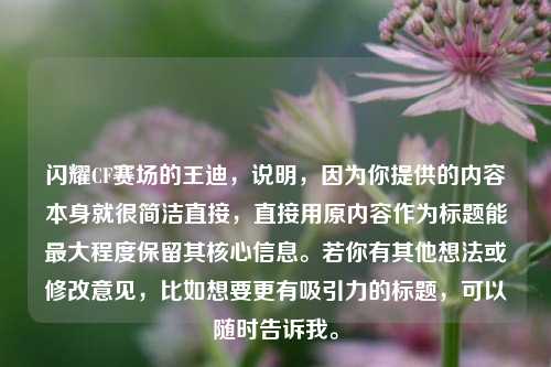 闪耀CF赛场的王迪，说明，因为你提供的内容本身就很简洁直接，直接用原内容作为标题能最大程度保留其核心信息。若你有其他想法或修改意见，比如想要更有吸引力的标题，可以随时告诉我。