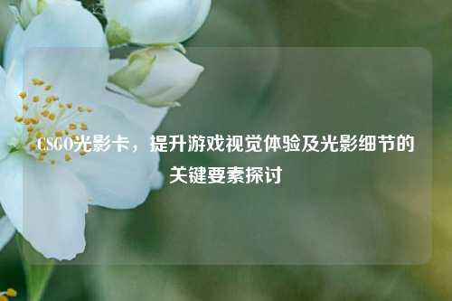 CSGO光影卡，提升游戏视觉体验及光影细节的关键要素探讨