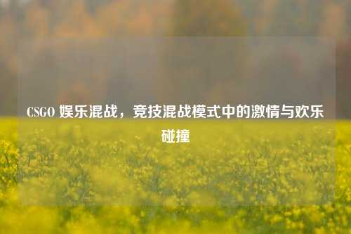 CSGO 娱乐混战,竞技混战模式中的激情与欢乐碰撞