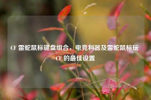 CF 雷蛇鼠标键盘组合,电竞利器及雷蛇鼠标玩 CF 的最佳设置