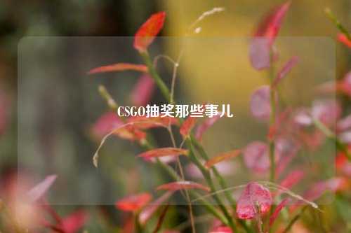 CSGO抽奖那些事儿