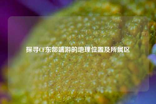 探寻CF东部端游的地理位置及所属区