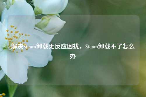 解决Steam卸载无反应困扰，Steam卸载不了怎么办