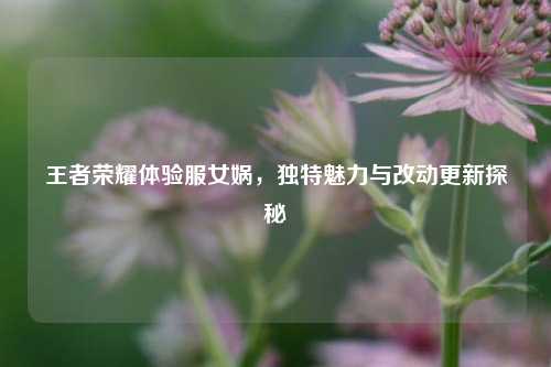王者荣耀体验服女娲,独特魅力与改动更新探秘