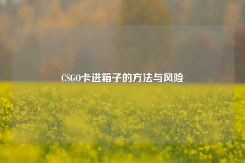 CSGO卡进箱子的方法与风险
