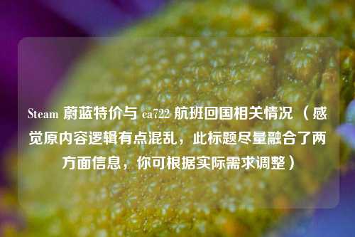 Steam 蔚蓝特价与 ca722 航班回国相关情况 (感觉原内容逻辑有点混乱,此标题尽量融合了两方面信息,你可根据实际需求调整)