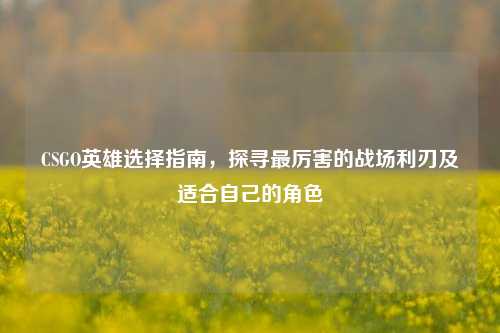 CSGO英雄选择指南，探寻最厉害的战场利刃及适合自己的角色