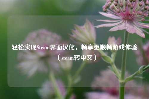 轻松实现Steam界面汉化，畅享更顺畅游戏体验（steam转中文）