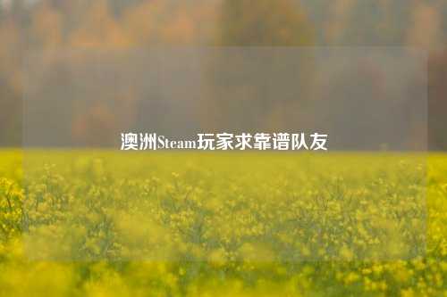澳洲Steam玩家求靠谱队友