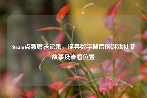 Steam点数赠送记录，探寻数字背后的游戏社交故事及查看位置