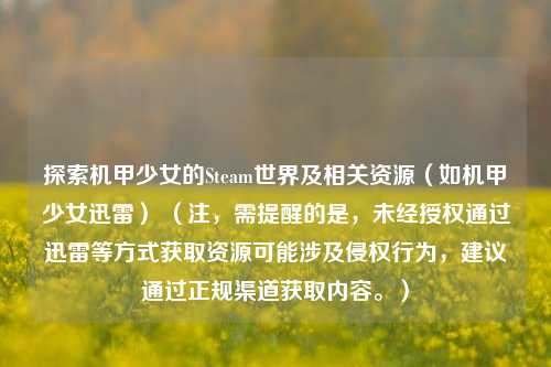 探索机甲少女的Steam世界及相关资源（如机甲少女迅雷） （注，需提醒的是，未经授权通过迅雷等方式获取资源可能涉及侵权行为，建议通过正规渠道获取内容。）
