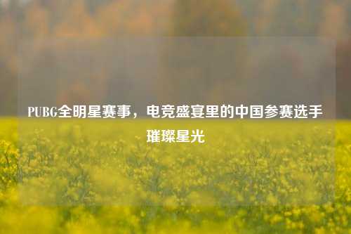 PUBG全明星赛事,电竞盛宴里的中国参赛选手璀璨星光