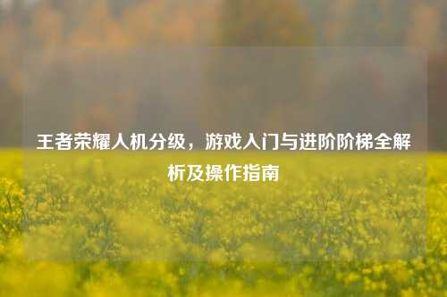 王者荣耀人机分级,游戏入门与进阶阶梯全解析及操作指南