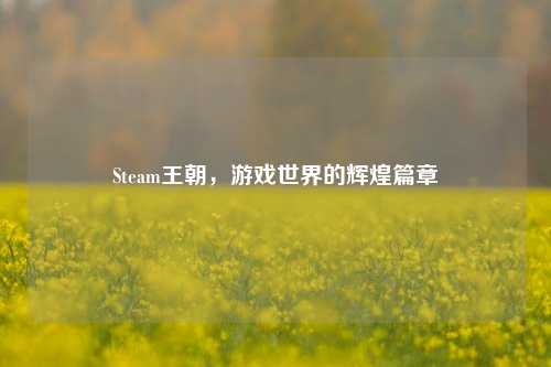 Steam王朝,游戏世界的辉煌篇章