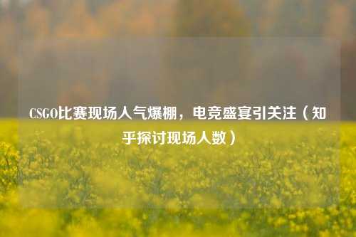 CSGO比赛现场人气爆棚,电竞盛宴引关注(知乎探讨现场人数)