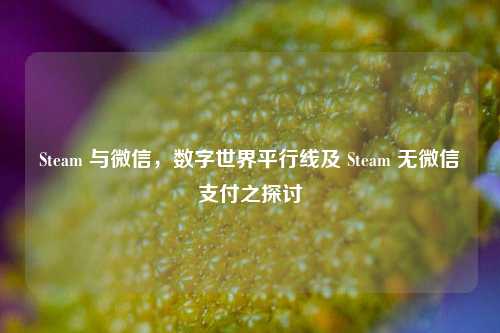 Steam 与微信，数字世界平行线及 Steam 无微信支付之探讨