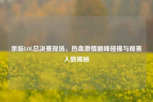 亲临LOL总决赛现场,热血激情巅峰碰撞与观赛人数揭秘