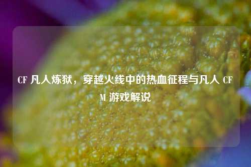 CF 凡人炼狱，穿越火线中的热血征程与凡人 CFM 游戏解说