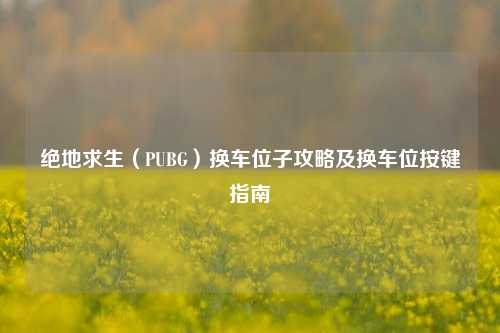 绝地求生（PUBG）换车位子攻略及换车位按键指南