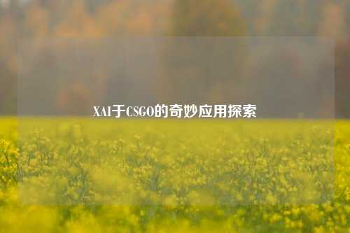 XAI于CSGO的奇妙应用探索