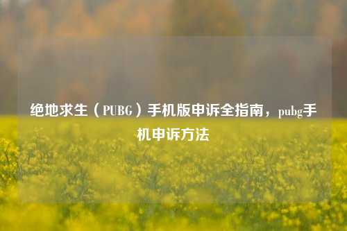 绝地求生(PUBG)手机版申诉全指南,pubg手机申诉方法