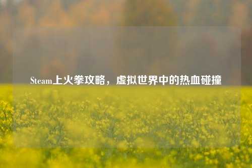 Steam上火拳攻略,虚拟世界中的热血碰撞
