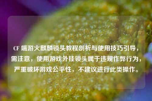 CF 端游火麒麟锁头教程剖析与使用技巧引导，需注意，使用游戏外挂锁头属于违规作弊行为，严重破坏游戏公平性，不建议进行此类操作。