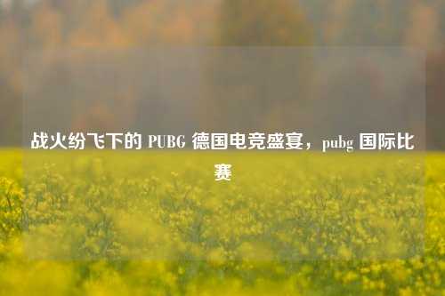 战火纷飞下的 PUBG 德国电竞盛宴,pubg 国际比赛