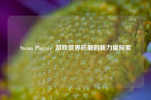 Steam Plugin，游戏世界拓展的新力量探索