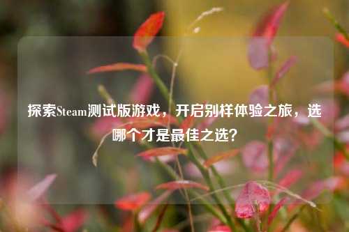 探索Steam测试版游戏，开启别样体验之旅，选哪个才是最佳之选？