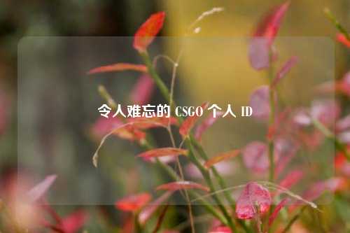 令人难忘的 CSGO 个人 ID