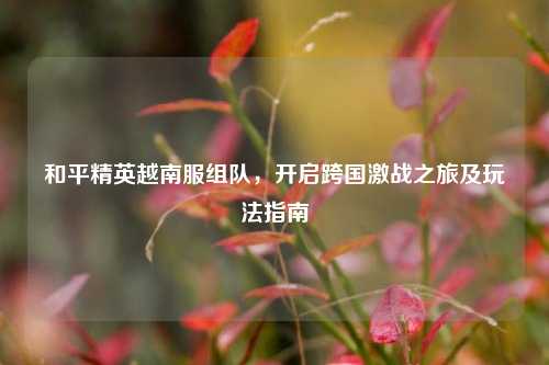 和平精英越南服组队,开启跨国激战之旅及玩法指南