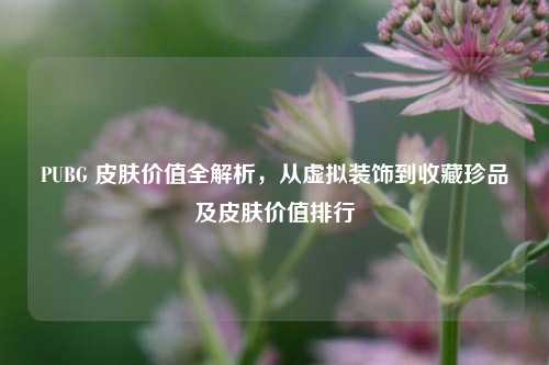 PUBG 皮肤价值全解析，从虚拟装饰到收藏珍品及皮肤价值排行