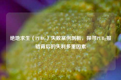 绝地求生（PUBG）失败案例剖析，探寻PUBg报错背后的失利多重因素