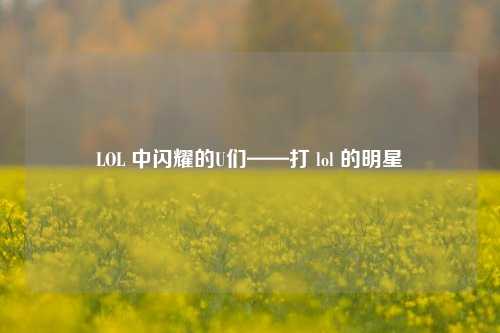 LOL 中闪耀的U们——打 lol 的明星