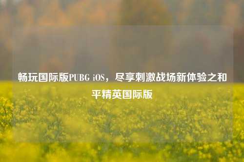 畅玩国际版PUBG iOS,尽享刺激战场新体验之和平精英国际版