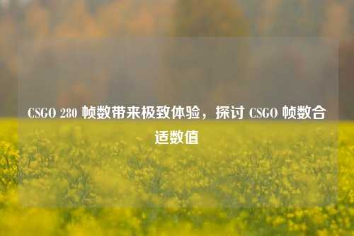 CSGO 280 帧数带来极致体验,探讨 CSGO 帧数合适数值