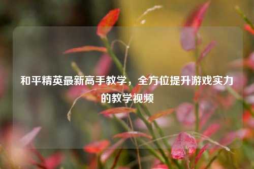 和平精英最新高手教学,全方位提升游戏实力的教学视频