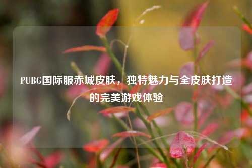 PUBG国际服赤城皮肤,独特魅力与全皮肤打造的完美游戏体验