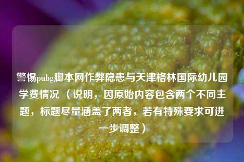 警惕pubg脚本网作弊隐患与天津格林国际幼儿园学费情况 (说明,因原始内容包含两个不同主题,标题尽量涵盖了两者,若有特殊要求可进一步调整)