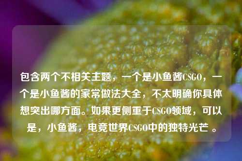 包含两个不相关主题,一个是小鱼酱CSGO,一个是小鱼酱的家常做法大全,不太明确你具体想突出哪方面。如果更侧重于CSGO领域,可以是,小鱼酱,电竞世界CSGO中的独特光芒 。