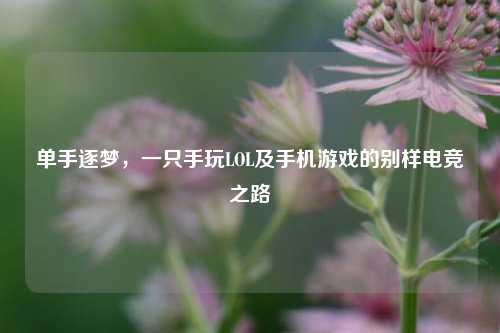 单手逐梦，一只手玩LOL及手机游戏的别样电竞之路